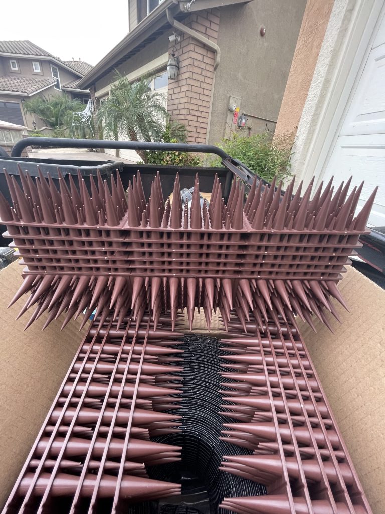 Bird Spikes