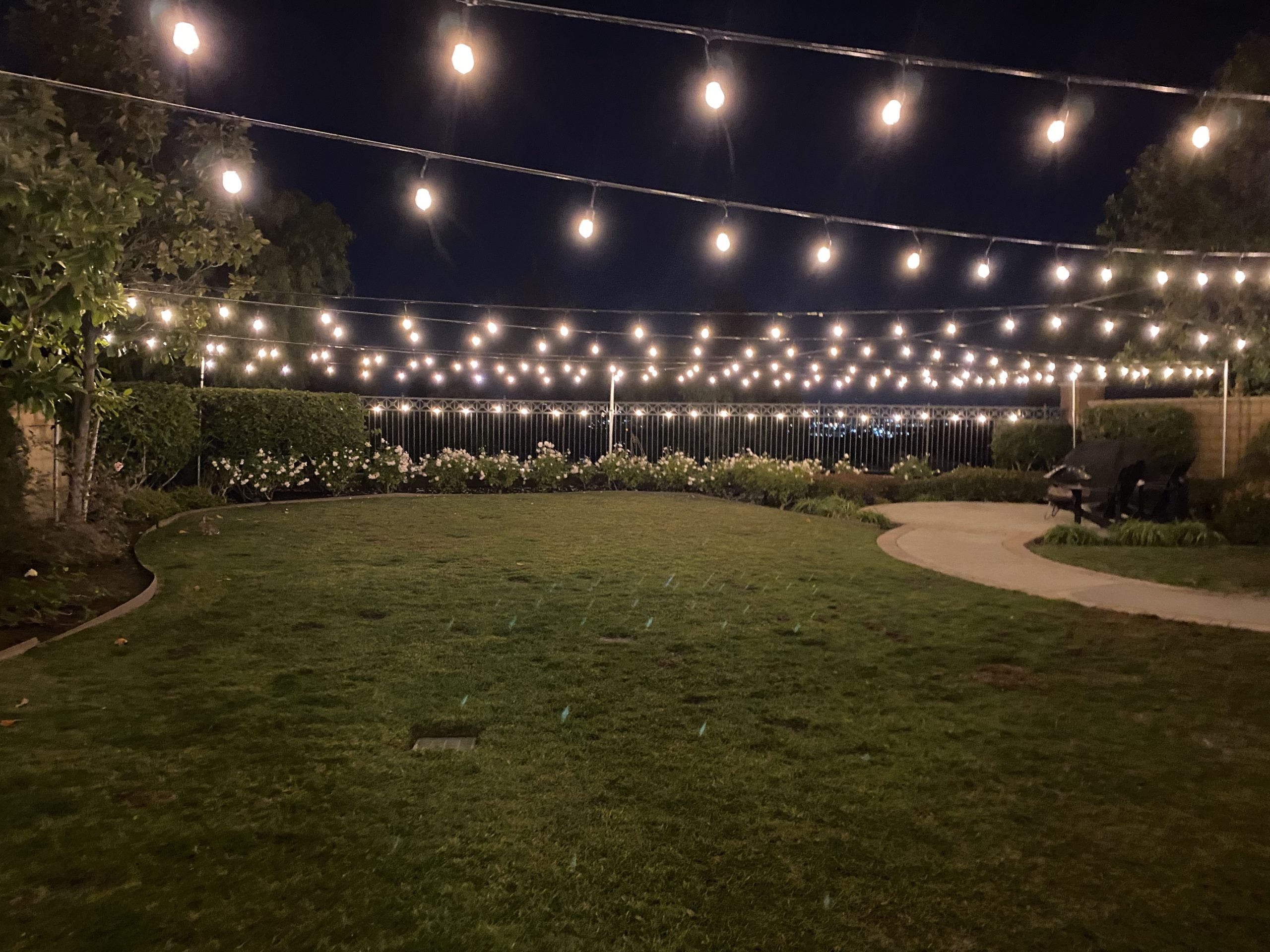 Backyard hanging decor lights